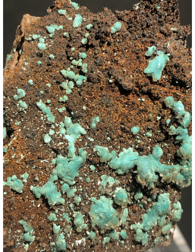 Rosasite,Ojuela mine, Mapimi, Mexico