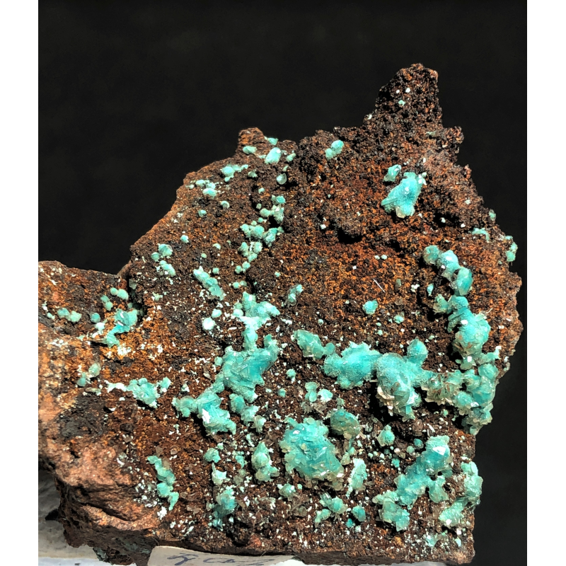 Rosasite,Ojuela mine, Mapimi, Mexico