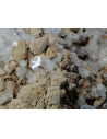 Chabasite Calcite  - Bocca Pietore Palue Belluno  Italy