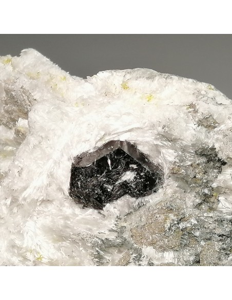 Voltaite  - M. Arsiccio mine, Sant'Anna di Stazzema - Lucca prov. -  Apuan Alps - Tuscany - Italy