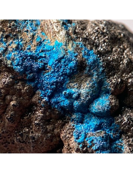 Cornetite ( TL) on Heterogenite - Etoile du Congo, RDC