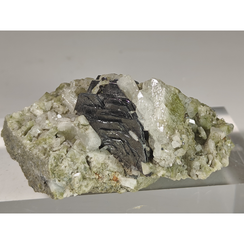 Hematite iron Rose Albite -Bergera del Laux Val Chisone Italy
