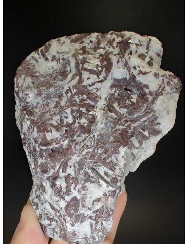 Piemontite -  Praborna Aosta Valley   Italy