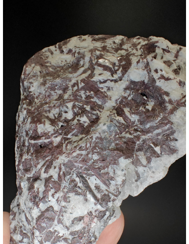 Piemontite -  Praborna Aosta Valley   Italy