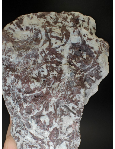 Piemontite -  Praborna Aosta Valley   Italy