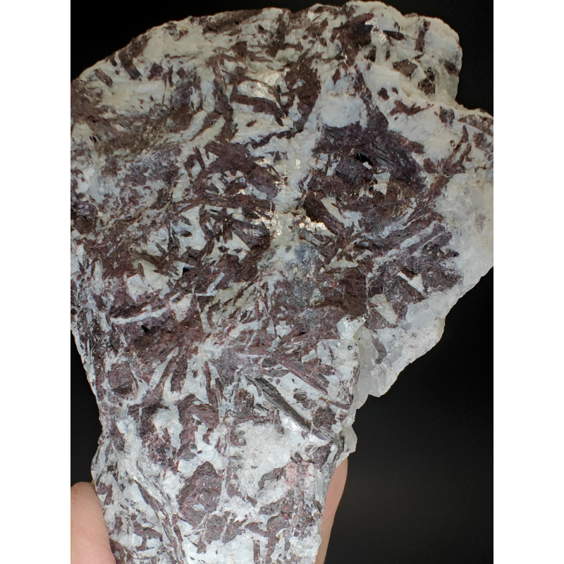 Piemontite -  Praborna Aosta Valley   Italy