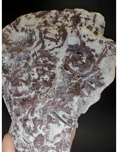 Piemontite -  Praborna Aosta Valley   Italy