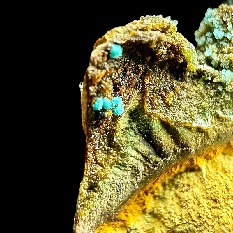 Marioantofillite - Monte Copello-Reppia mine, Reppia, Ne, Genoa, Liguria, Italy