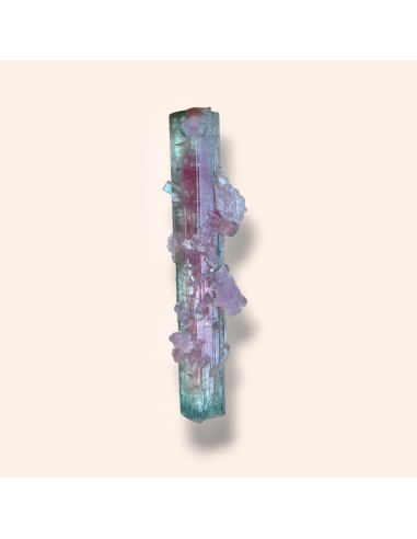 Watermelon tourmaline - Pederneira Brazil