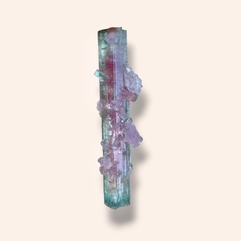 Watermelon tourmaline - Pederneira Brazil