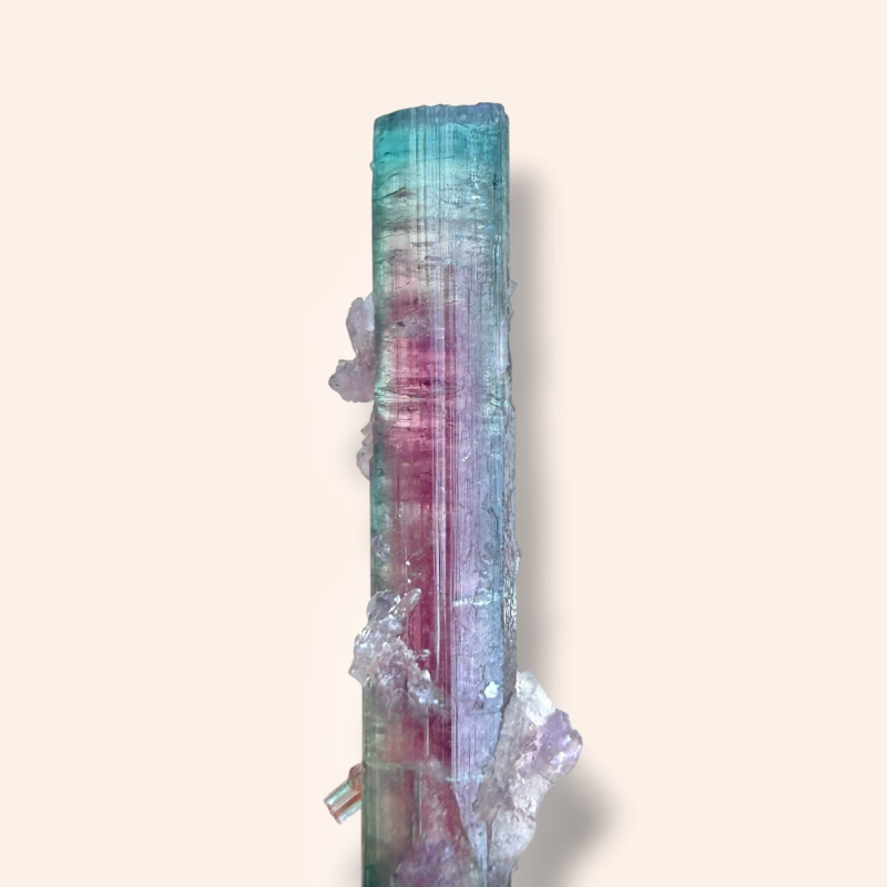 Watermelon tourmaline - Pederneira Brazil