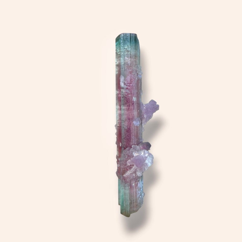 Watermelon tourmaline - Pederneira Brazil