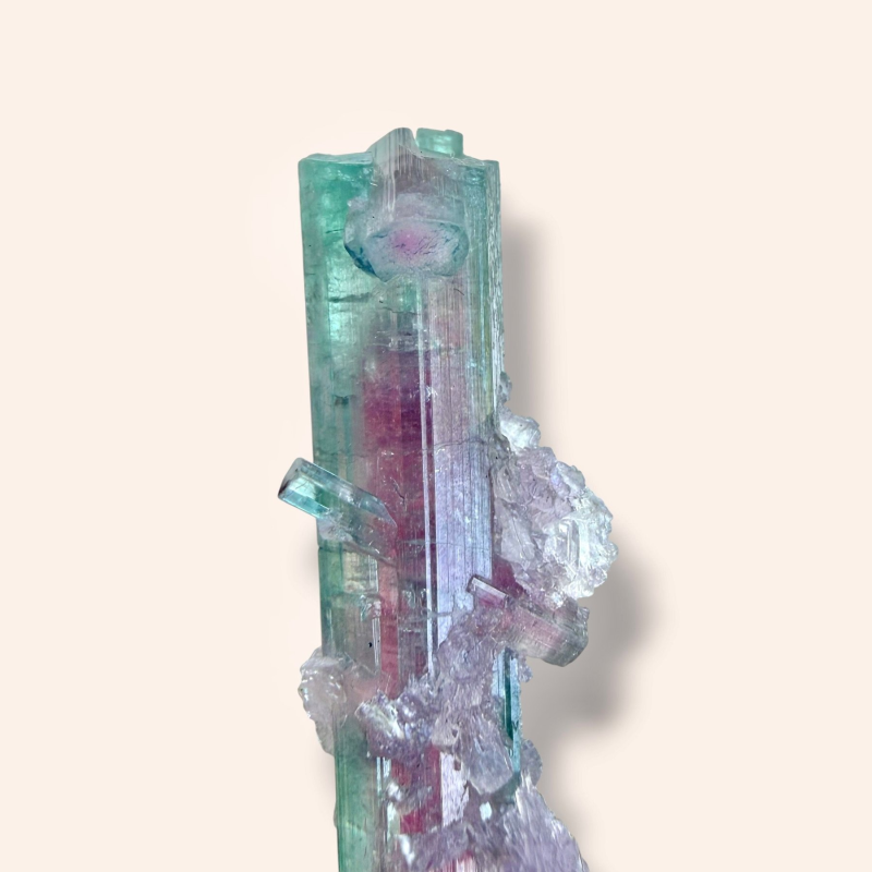 Watermelon tourmaline - Pederneira Brazil