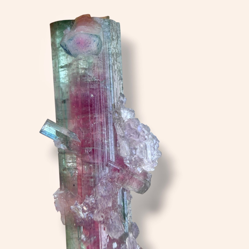 Watermelon tourmaline - Pederneira Brazil