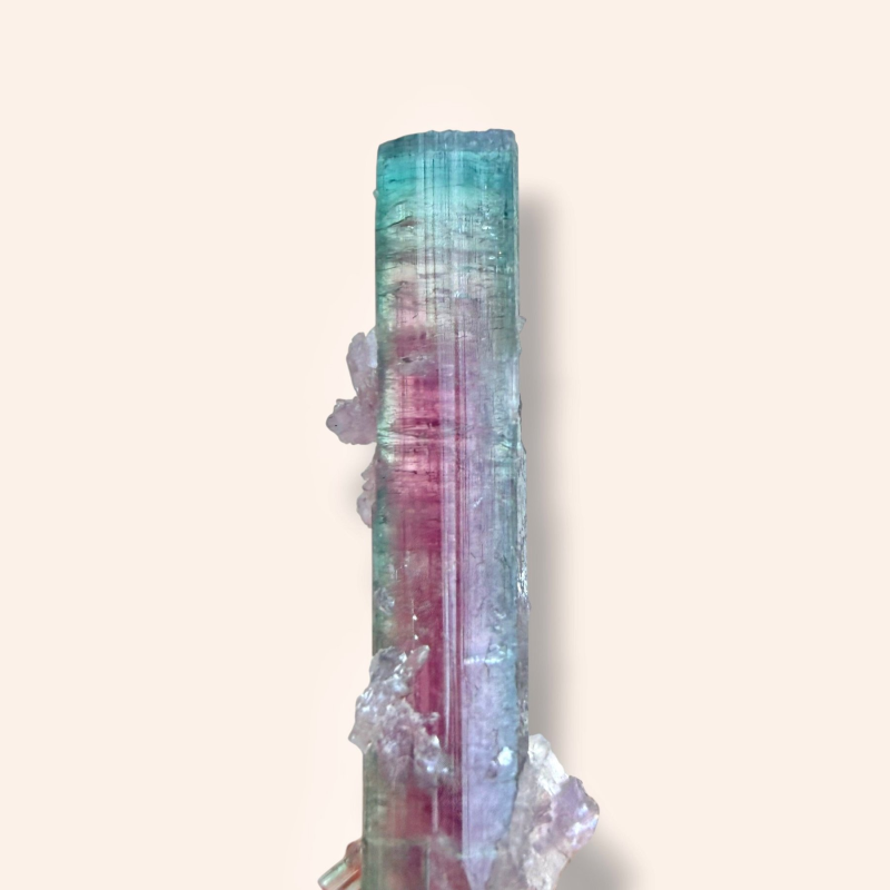 Watermelon tourmaline - Pederneira Brazil