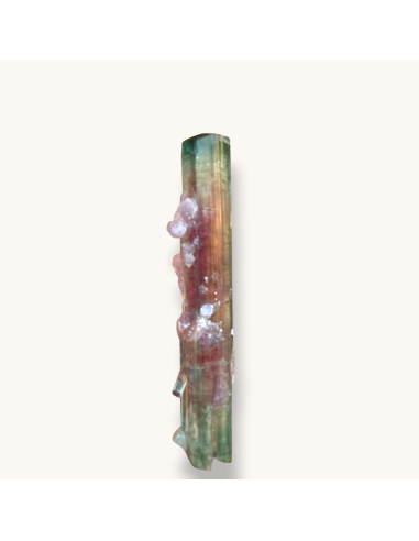 Watermelon tourmaline - Pederneira Brazil