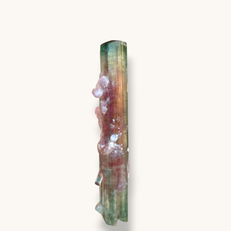 Watermelon tourmaline - Pederneira Brazil