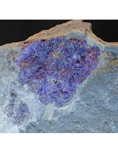 Diopside var Violane -  Praborna Aosta Valley   Italy