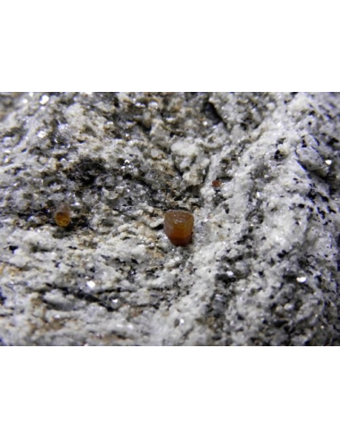 Synchisite - Cervandone Val Formazza Italy