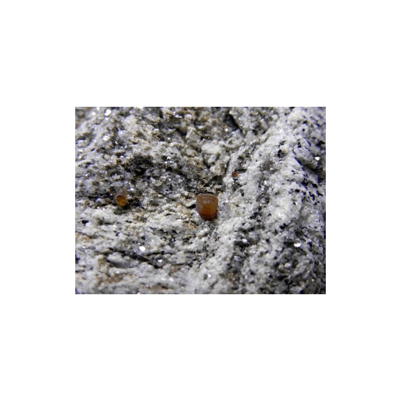 Synchisite - Cervandone Val Formazza Italy