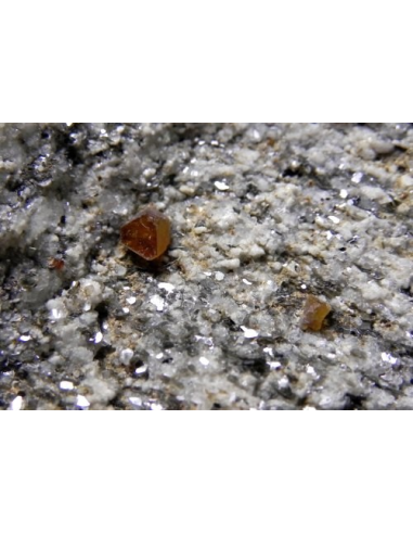 Synchisite - Cervandone Val Formazza Italy