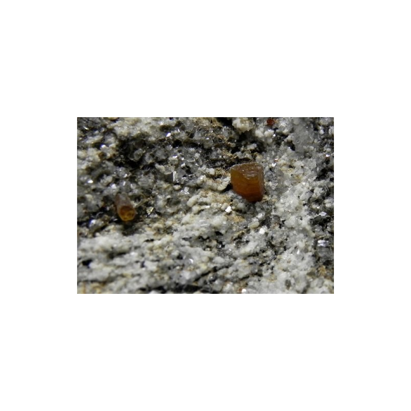Synchisite - Cervandone Val Formazza Italy