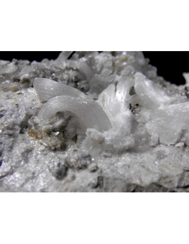 Gypsum - Monte Ceti quarry Novafeltria Italy