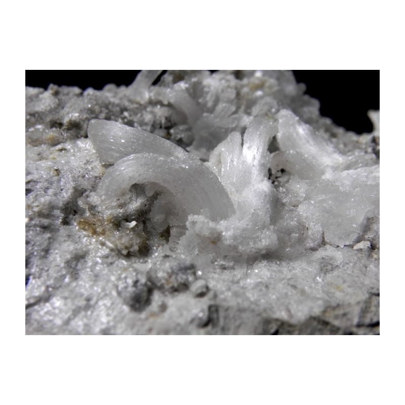 Gypsum - Monte Ceti quarry Novafeltria Italy