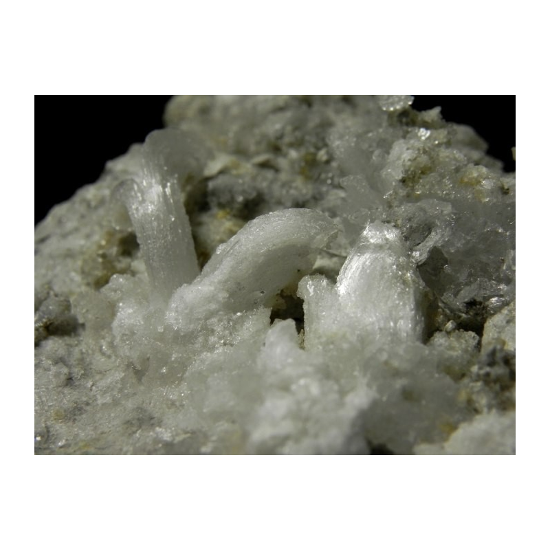 Gypsum - Monte Ceti quarry Novafeltria Italy