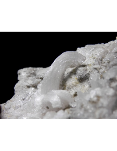 Gypsum - Monte Ceti quarry Novafeltria Italy