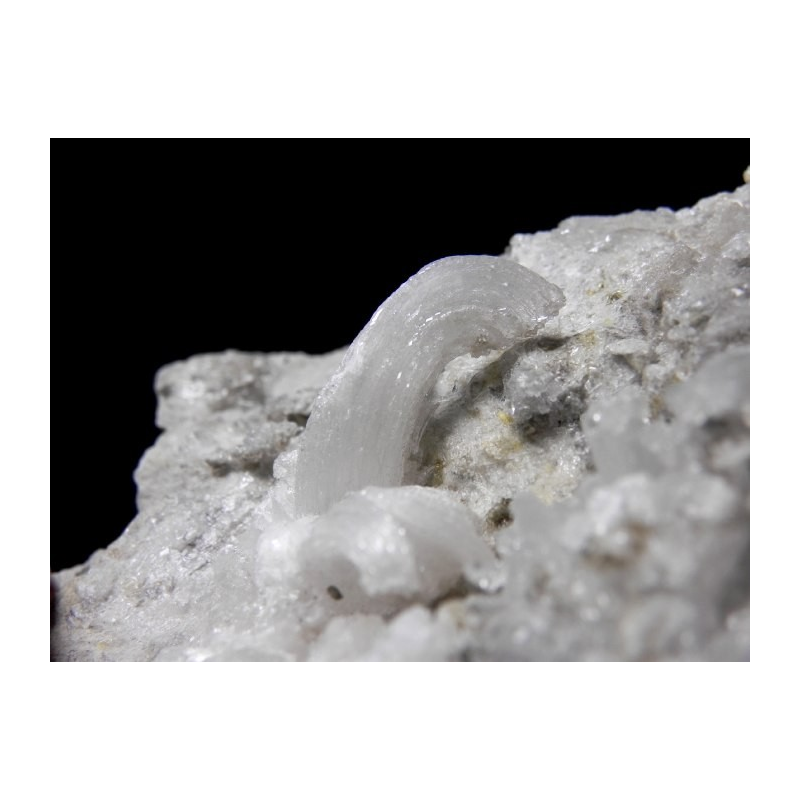 Gypsum - Monte Ceti quarry Novafeltria Italy