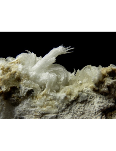 Gypsum - Monte Ceti quarry Novafeltria Italy