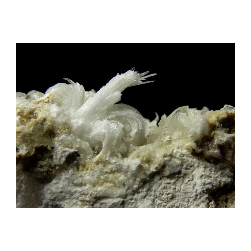 Gypsum - Monte Ceti quarry Novafeltria Italy