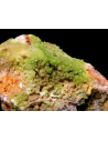 Pyromorphyte   - Crabulazzu mine Arbus Sardinia