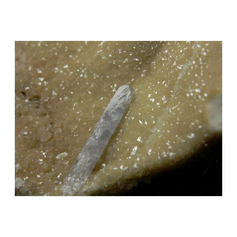 Baryte in Septaria - Appennino Bolognese Italy