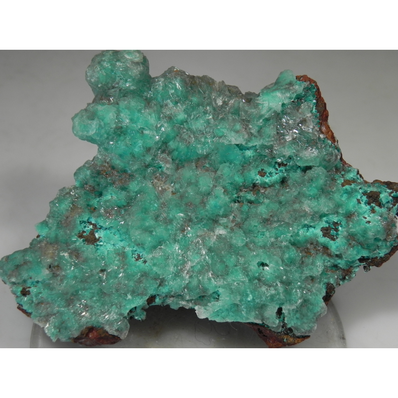 Blue Aragonite - Gerfalco, Montieri, Grosseto Province, Tuscany, Italy
