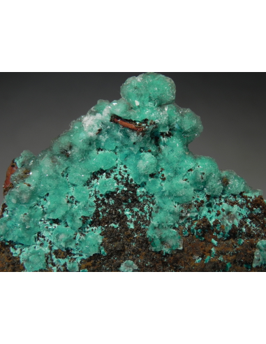 Blue Aragonite - Gerfalco, Montieri, Grosseto Province, Tuscany, Italy