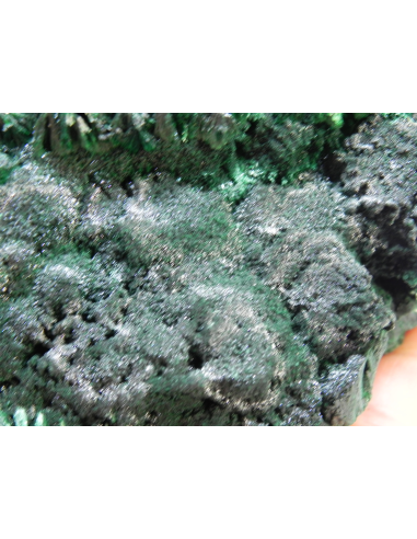 Smithsonite after Calcite	- San Giovanni mine Iglesias Italy