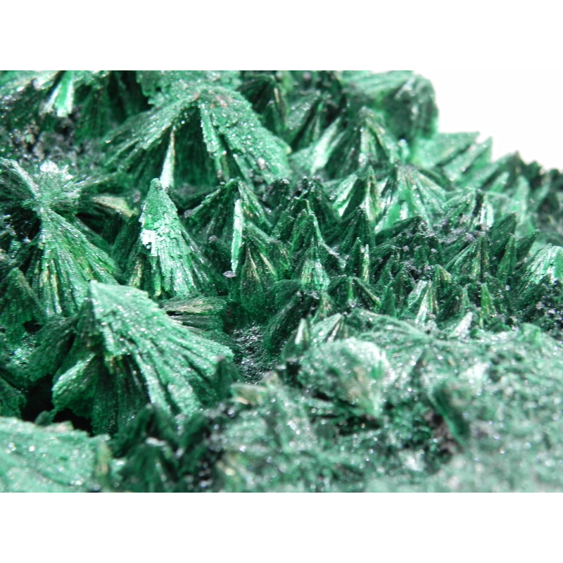 Smithsonite after Calcite	- San Giovanni mine Iglesias Italy