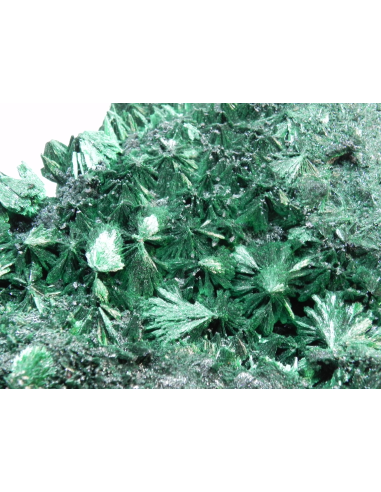 Smithsonite after Calcite	- San Giovanni mine Iglesias Italy