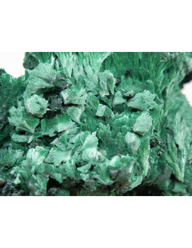 Malachite- Mindingi Mine, Kambove District, Haut-Katanga, DR Congo