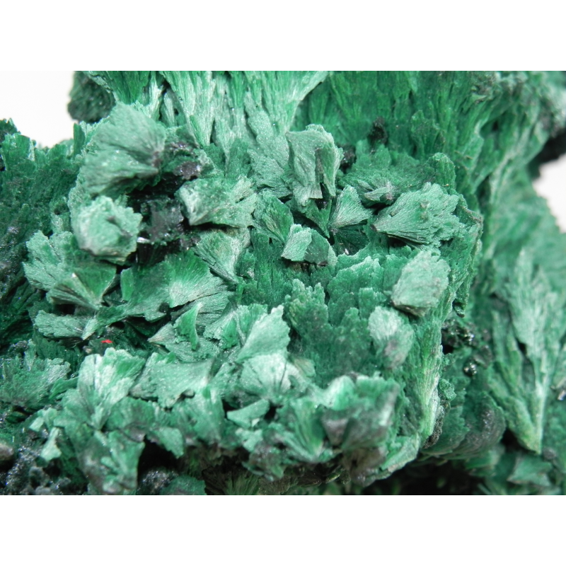 Malachite- Mindingi Mine, Kambove District, Haut-Katanga, DR Congo