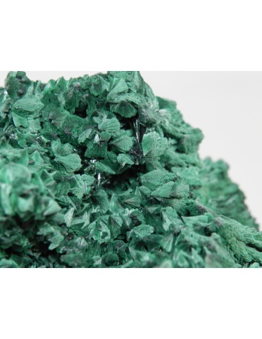 Malachite- Mindingi Mine, Kambove District, Haut-Katanga, DR Congo