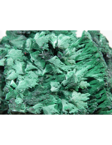 Malachite- Mindingi Mine, Kambove District, Haut-Katanga, DR Congo