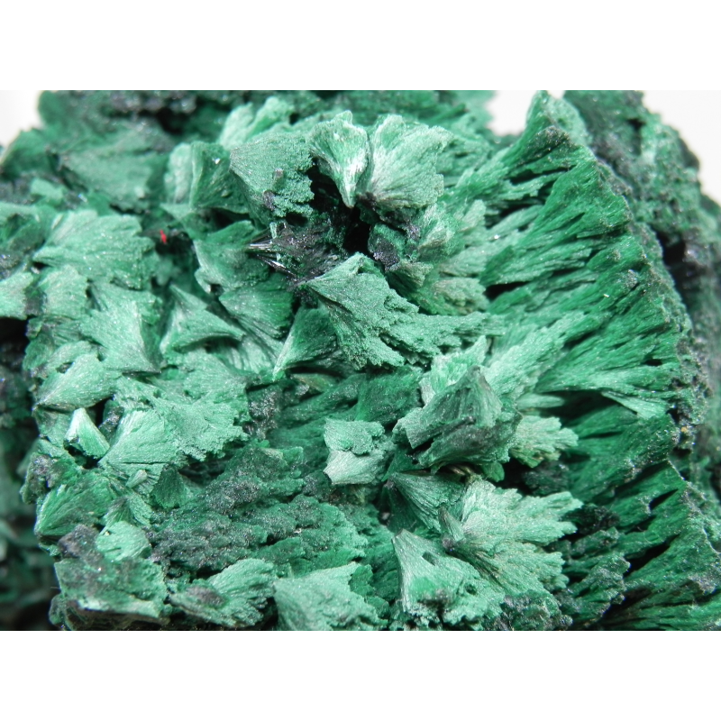 Malachite- Mindingi Mine, Kambove District, Haut-Katanga, DR Congo