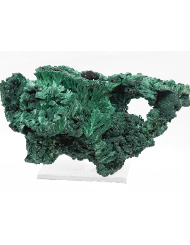 Malachite- Mindingi Mine, Kambove District, Haut-Katanga, DR Congo