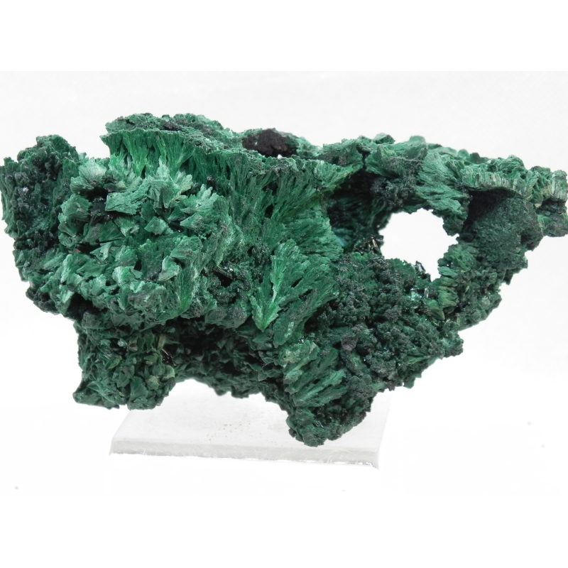 Malachite- Mindingi Mine, Kambove District, Haut-Katanga, DR Congo